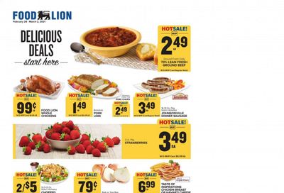 Food Lion (GA) Weekly Ad Flyer February 24 to March 2