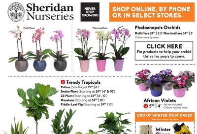 Sheridan Nurseries Flyer February 25 to March 17