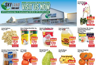 Skyland Food Mart Flyer February 26 to March 4