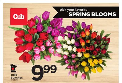 Cub Foods Weekly Ad Flyer February 21 to February 27