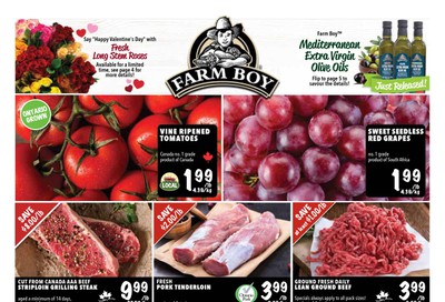 Farm Boy Flyer February 13 to 19