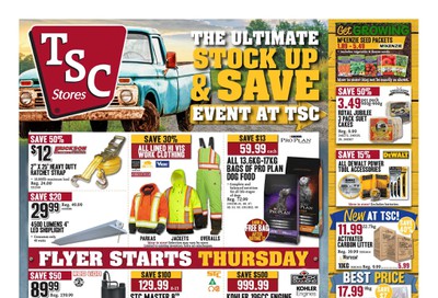 TSC Stores Flyer February 13 to 20