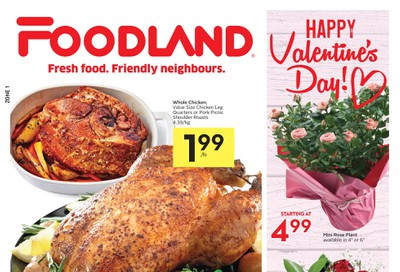 Foodland (ON) Flyer February 13 to 19