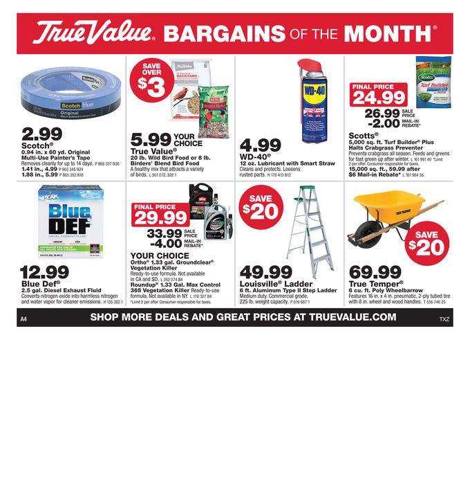 True Value Monthly Ad Flyer March 1 to March 28, 2020