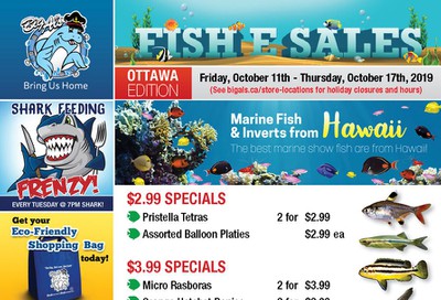 Big Al's (Ottawa East) Weekly Specials October 11 to 17