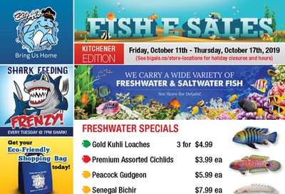 Big Al's (Kitchener) Weekly Specials October 11 to 17