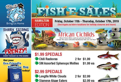 Big Al's (Hamilton) Weekly Specials October 11 to 17