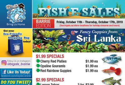 Big Al's (Barrie) Weekly Specials October 11 to 17