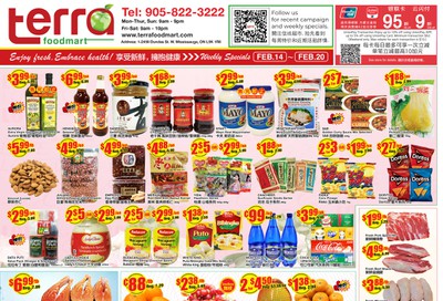 Terra Foodmart Flyer February 14 to 20