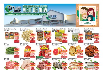 Skyland Food Mart Flyer February 14 to 20