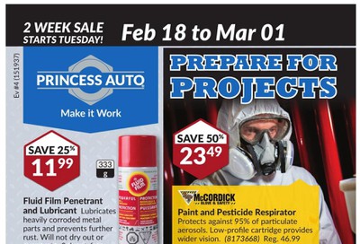 Princess Auto Flyer February 18 to March 1