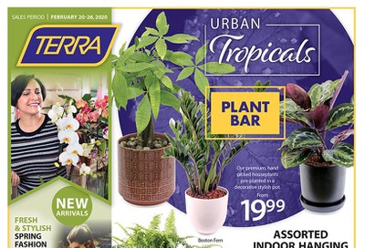 Terra Greenhouses Flyer February 20 to 26