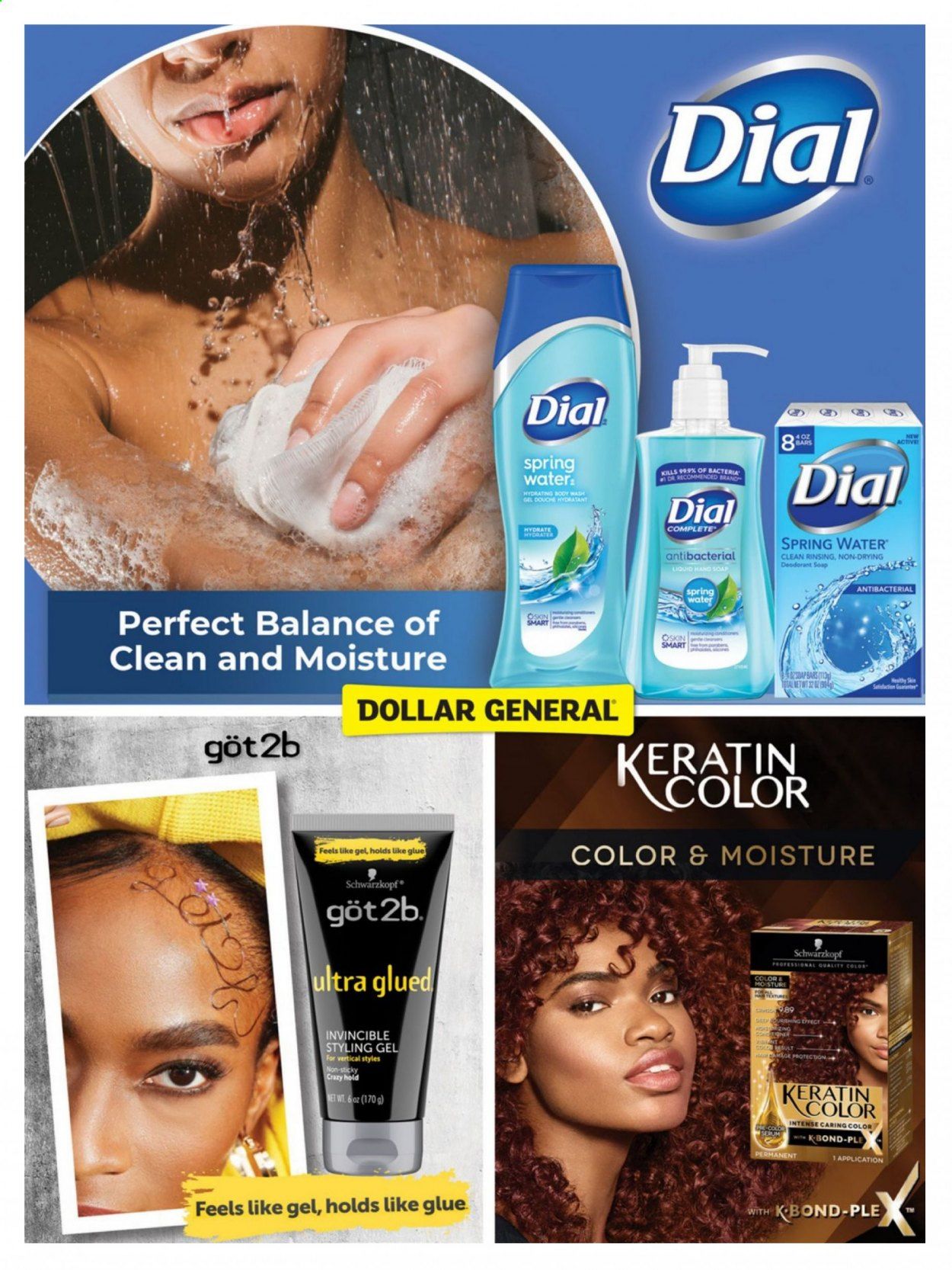 Dollar General Weekly Ad Flyer March 1 to May 31