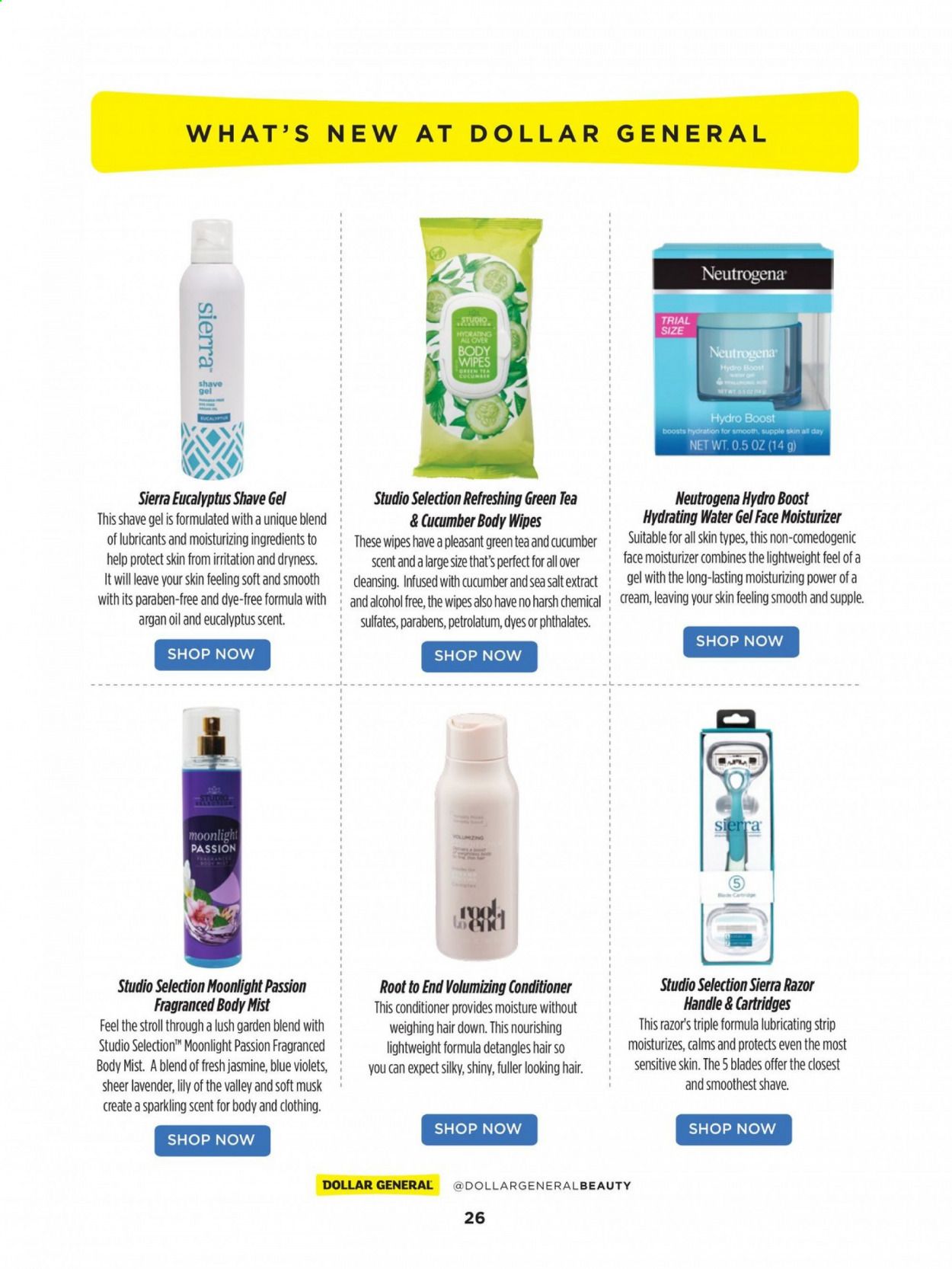 Dollar General Weekly Ad Flyer March 1 to May 31