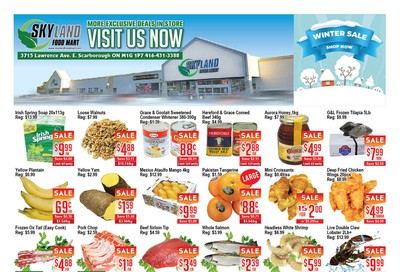 Skyland Food Mart Flyer February 21 to 27