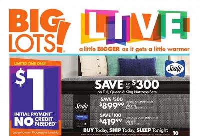 Big Lots Weekly Ad Flyer March 13 to March 20
