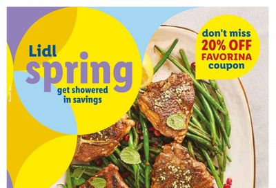 Lidl Weekly Ad Flyer March 10 to April 20
