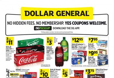 Dollar General (FL) Weekly Ad Flyer March 14 to March 20