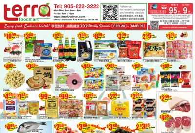 Terra Foodmart Flyer February 28 to March 5