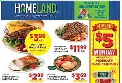 Homeland (OK, TX) Weekly Ad Flyer March 17 to March 23