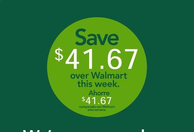 Publix (AL, FL, GA, NC, SC, TN, VA) Weekly Ad Flyer March 18 to March 24