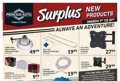 Princess Auto New Surplus Items Flyer March 1 to 31