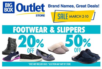 Big Box Outlet Store Flyer March 2 to 20