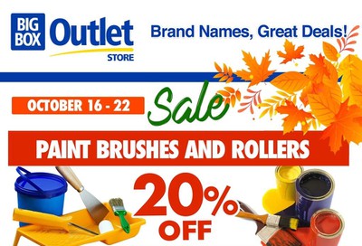 Big Box Outlet Store Flyer October 16 to 22