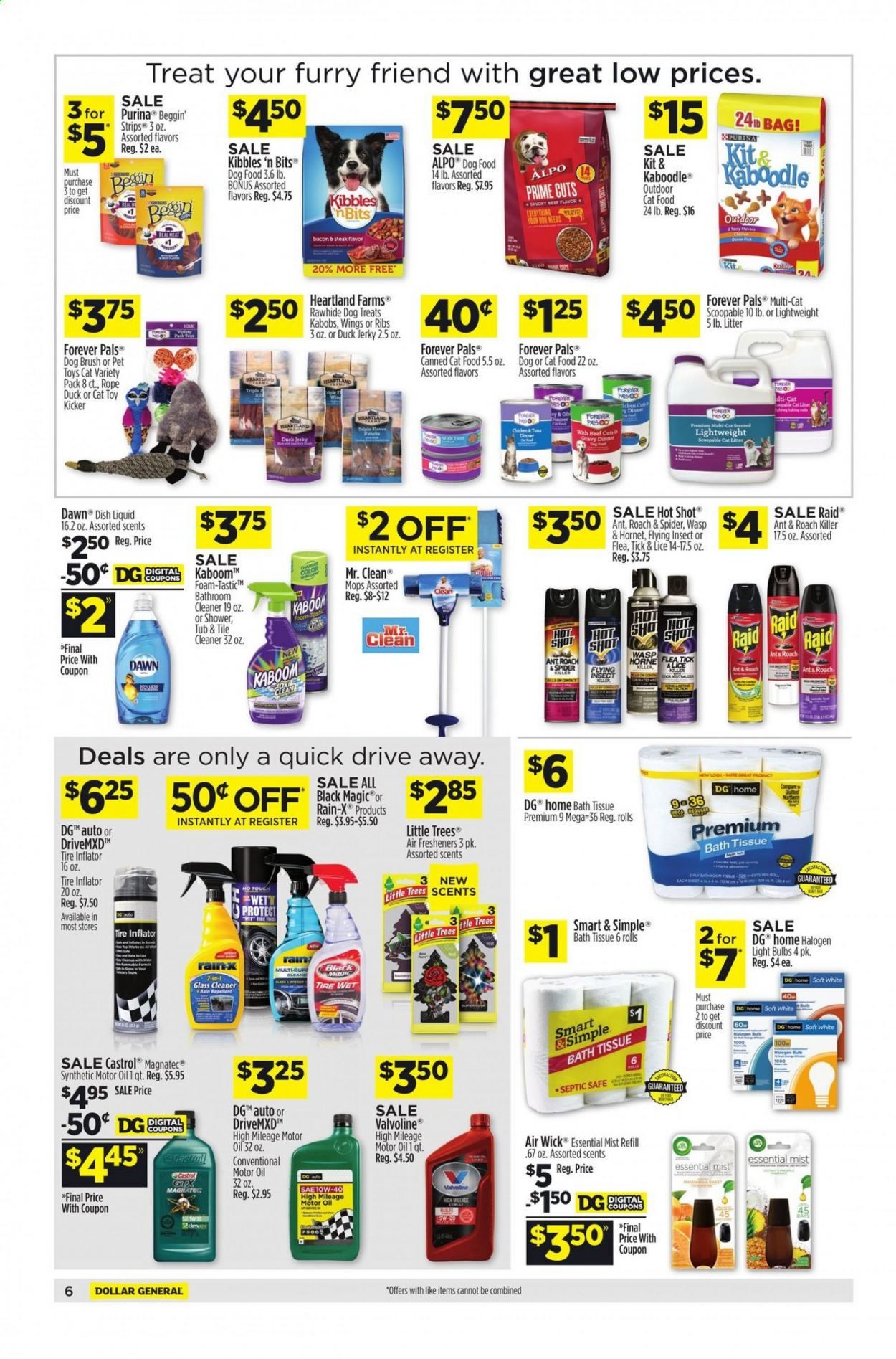 Dollar General (AR, GA, IL, IN, MI, MO, OK, PA) Weekly Ad Flyer March 21 to March 27