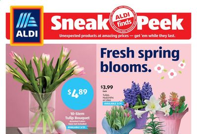 ALDI (PA) Weekly Ad Flyer March 28 to April 3