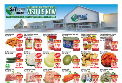 Skyland Food Mart Flyer March 6 to 12