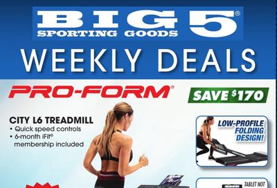Big 5 Weekly Ad Flyer April 18 to April 24