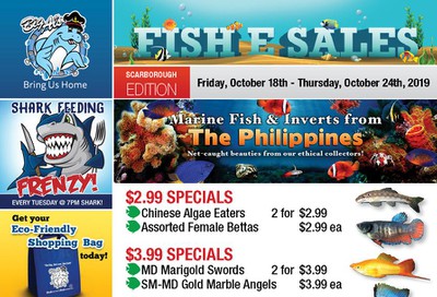 Big Al's (Scarborough) Weekly Specials October 18 to 24