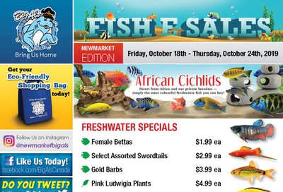 Big Al's (Newmarket) Weekly Specials October 18 to 24