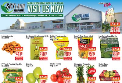 Skyland Food Mart Flyer April 23 to 29