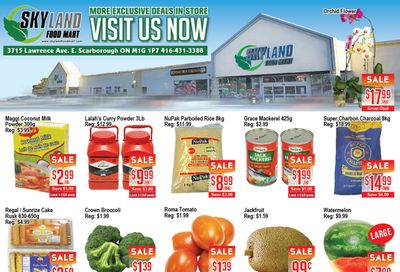 Skyland Food Mart Flyer April 30 to May 6