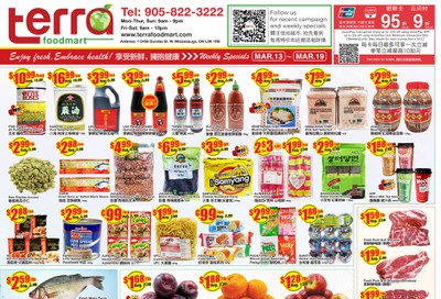 Terra Foodmart Flyer March 13 to 19