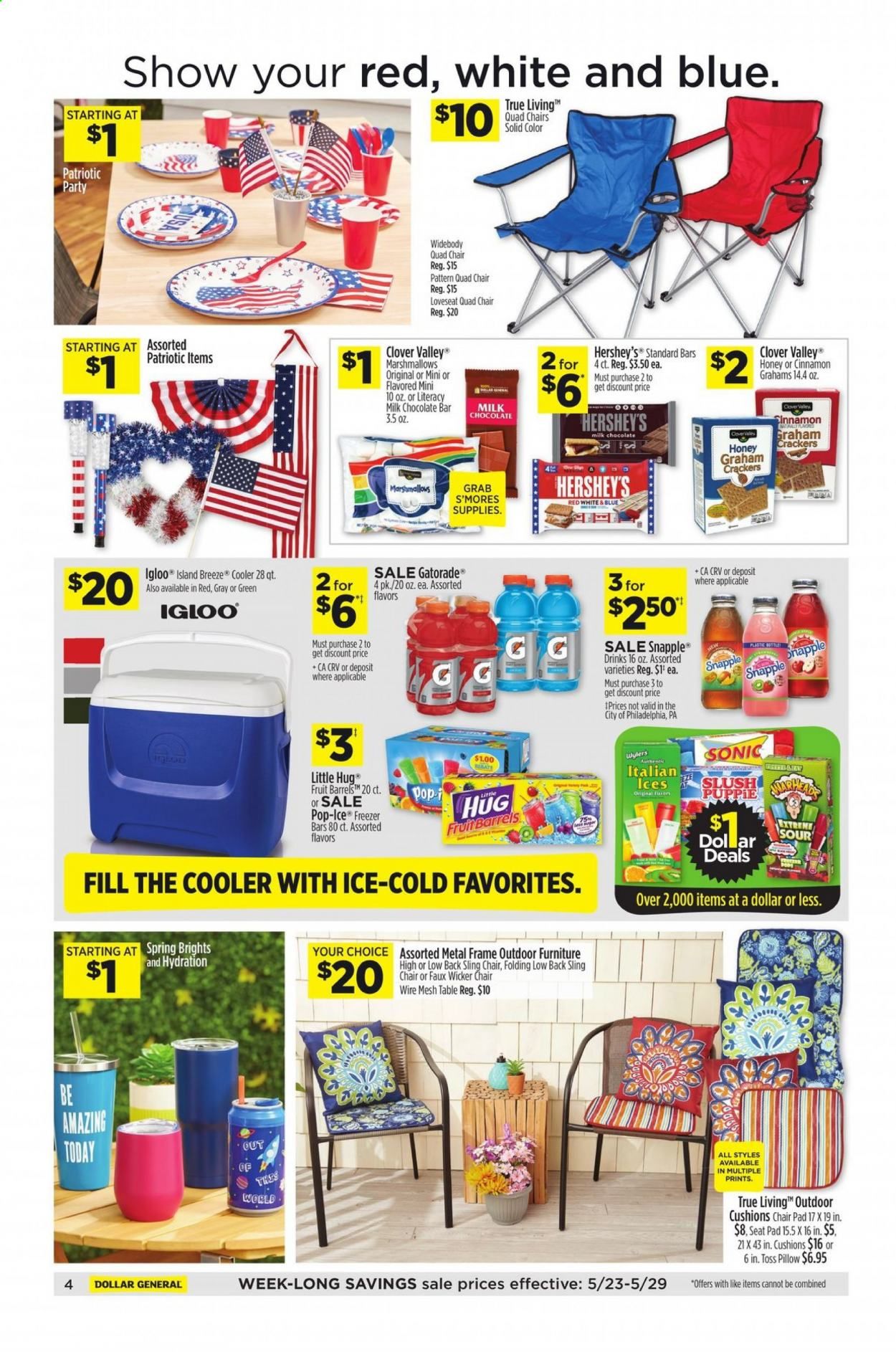 Dollar General (GA, IL, KY, MD, MI, MO, OH, PA, VA) Weekly Ad Flyer May 23 to May 29