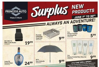 Princess Auto Surplus New Products Flyer June 1 to 30