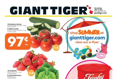 Giant Tiger (West) Flyer June 2 to 8