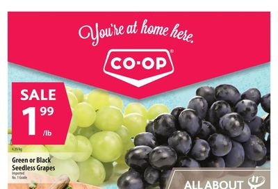 Co-op (West) Food Store Flyer June 3 to 9