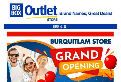 Big Box Outlet Store Flyer June 4 to 8