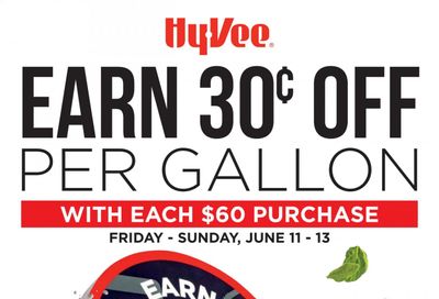 Hy-Vee (IA, IL, MN, MO, SD) Weekly Ad Flyer June 9 to June 16