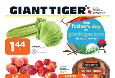 Giant Tiger (Atlantic) Flyer June 9 to 15