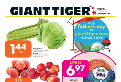 Giant Tiger (West) Flyer June 9 to 15