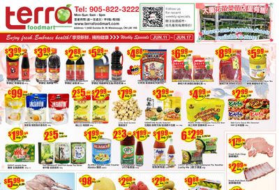 Terra Foodmart Flyer June 11 to 17