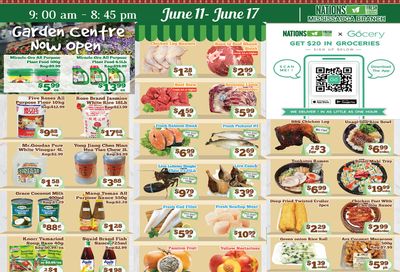 Nations Fresh Foods (Mississauga) Flyer June 11 to 17