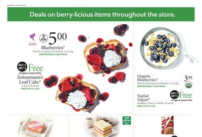 Publix (AL, FL, GA, NC, SC, TN) Weekly Ad Flyer June 10 to June 16