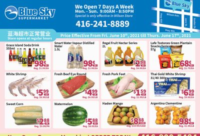 Blue Sky Supermarket (North York) Flyer June 11 to 17