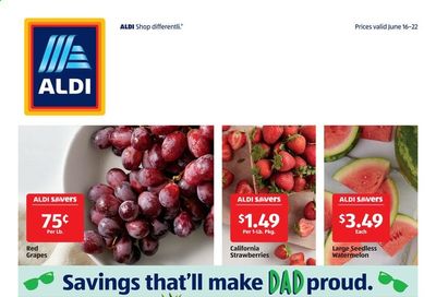 ALDI (FL) Weekly Ad Flyer June 16 to June 22